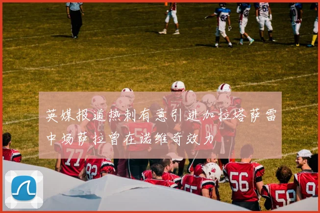 英媒报道热刺有意引进加拉塔萨雷中场萨拉曾在诺维奇效力