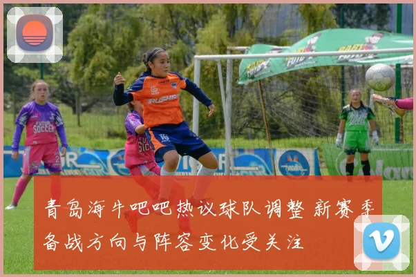 青岛海牛吧吧热议球队调整 新赛季备战方向与阵容变化受关注