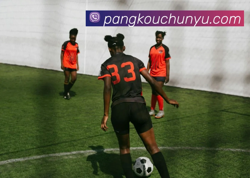 十大买球的正规网站平台生态图