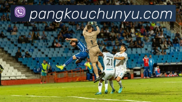 奖项证书