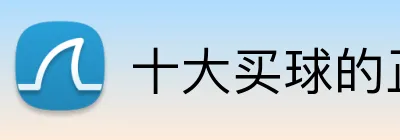 十大买球的正规网站 Logo